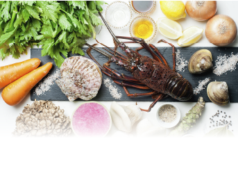 “おいしさの追求”